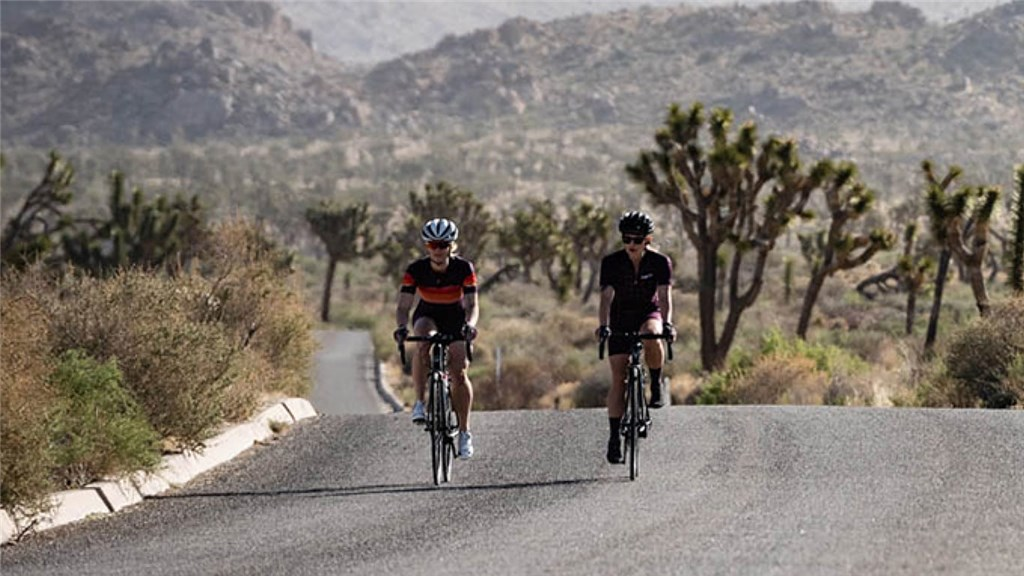 Giro W Chrono Sporty Short Rennvelohose in SCHWARZ