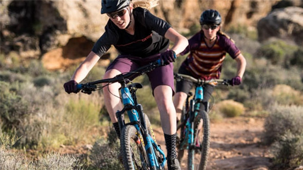 Giro DND II Velohandschuhe lang in BLAU