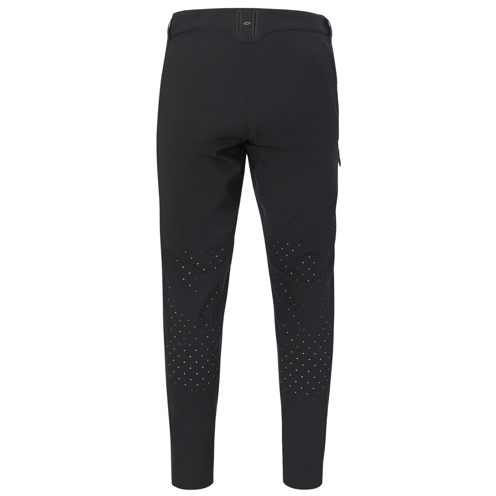 Giro M Havoc Pant Velohose in SCHWARZ