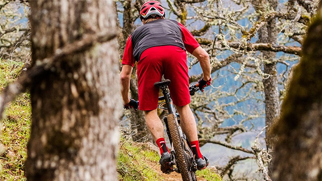 Giro M Arc Short Velohose in GRAU